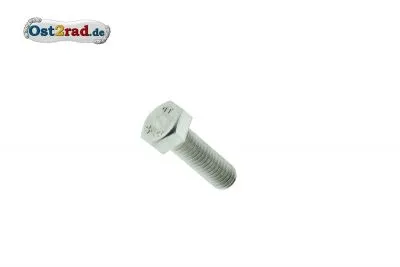 Sechskantschraube M6x55Edelstahl