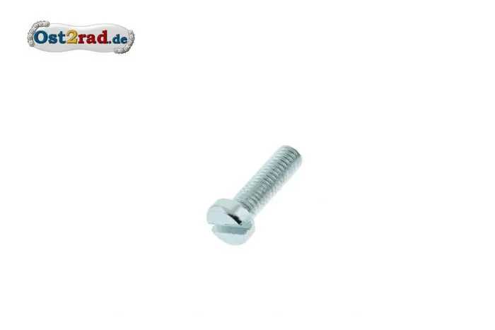 Zylinderschraube, Schlitzschraube M6x65 Verzinkt