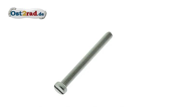 Zylinderschraube, Schlitzschraube M6x12 Edelstahl