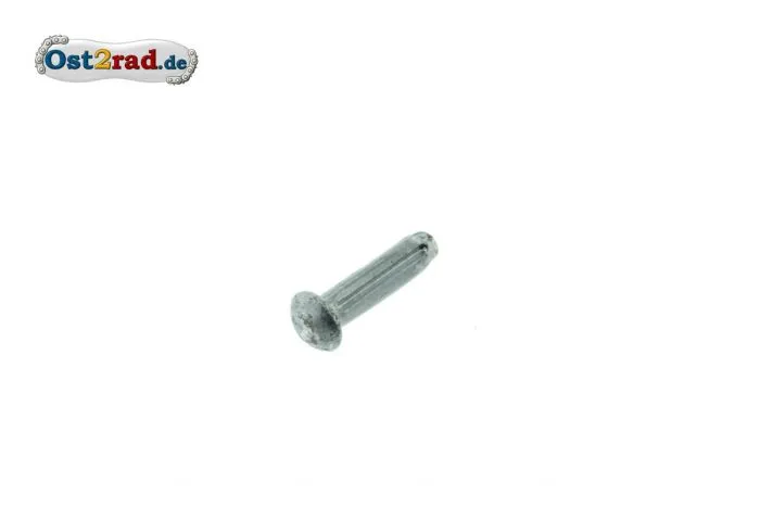 Kerbnagel Lenkerschloss Verschlussdeckel 2,5x10 DIN 1476 passend für MZ TS