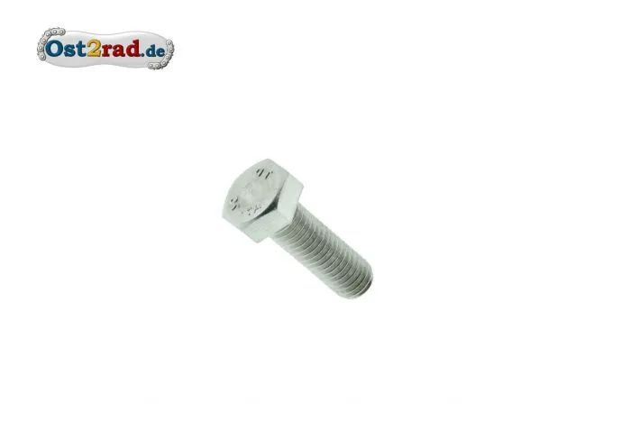 Sechskantschraube M6x55Edelstahl