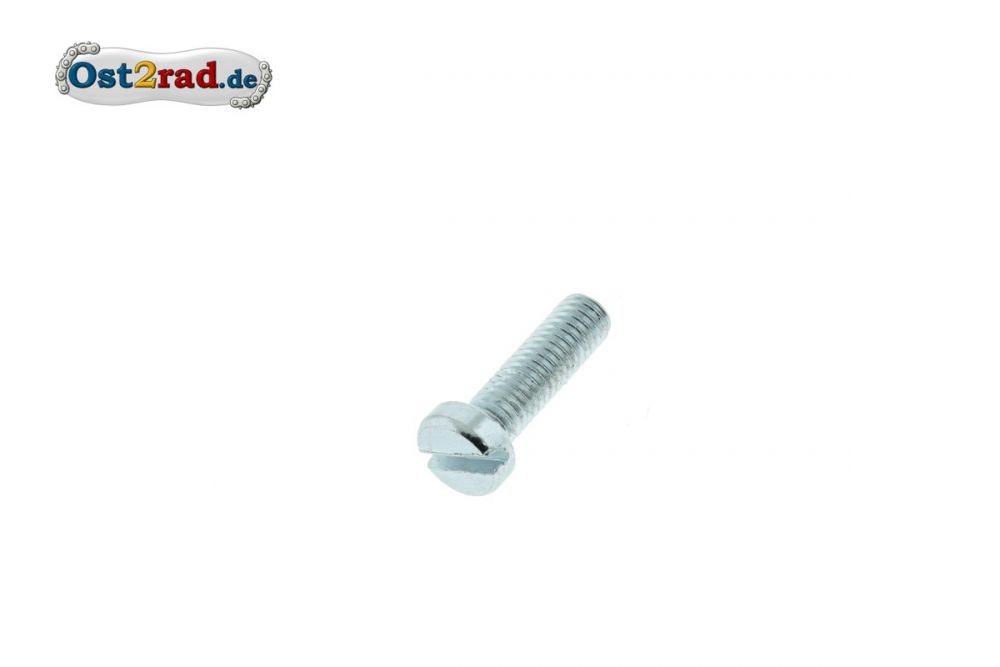 Zylinderschraube, Schlitzschraube M6x16 Verzinkt