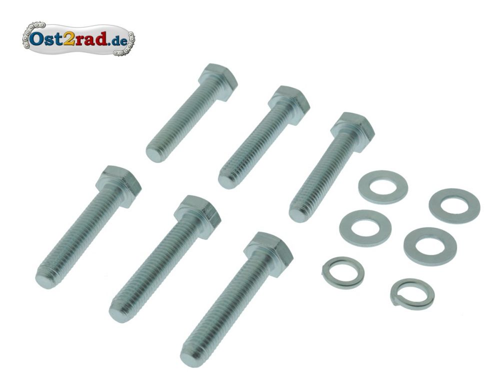 Schraubensatz Fahrgestell Lenker TS 250 250/1 Schraubensatz Fahrgestell Lenker TS 250 250/1